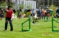 3T3I6128_3844 Kopie